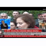  BALIK BAŞTAN KOKAR