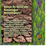 Dünya Su Gününde Susuzluğun Neresindeyiz?