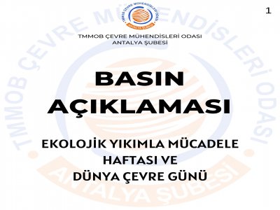8115757466a2853_ek.jpg