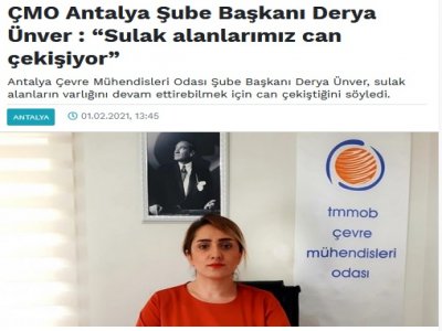 a0bf81dc2bdf8d3_ek.jpg