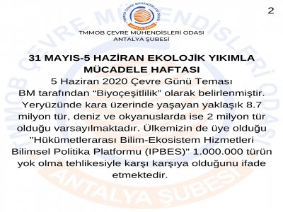 a374f30e6adade2_ek.jpg